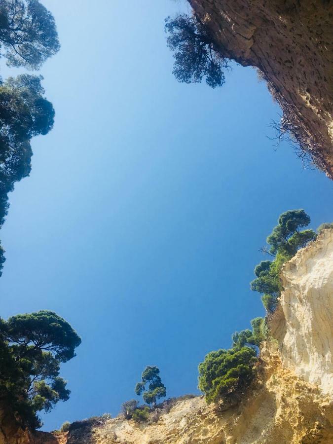 Casa Michela Villa Vico del Gargano Kültér fotó