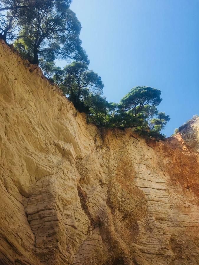 Casa Michela Villa Vico del Gargano Kültér fotó